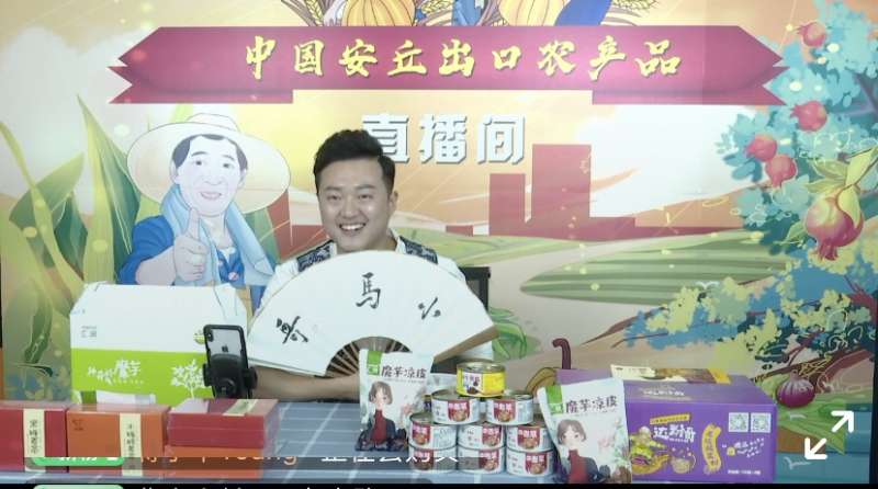网红达人孵化